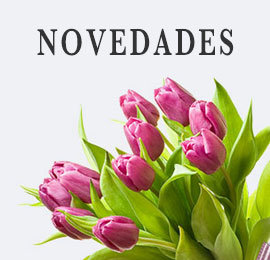 Novedades en flor cortada Riquelflor