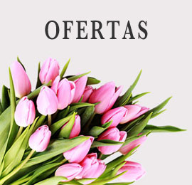 Ofertas en flor cortada Riquelflor